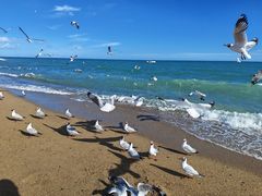 -青海湖国家重点风景名胜区