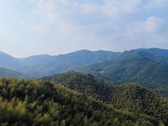 -宁波浙东大竹海景区