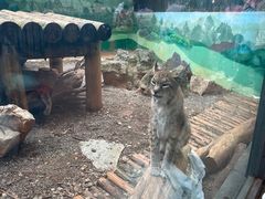 -昆明动物园