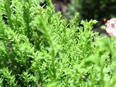 -鹿岛会员店 (龙湖三千集天街店)