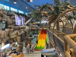 -卡通尼·Safari非洲探索乐园·生日会(金桥国际商业广场店)