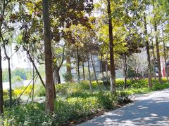 -昆山城市生态森林公园