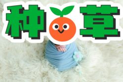 点击看大图 -马克叔叔的照相馆(东门店)