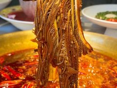 -小龙翻大江文化火锅(宽窄店)