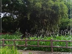 -成都市活水公园