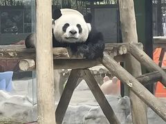 -栾川竹海野生动物园