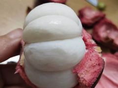 -九寸钉自助·炭火烤肉烧烤(欧乐时尚广场店)