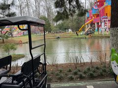 -合肥滨湖国家森林公园