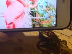 -馋嘴蛙火锅