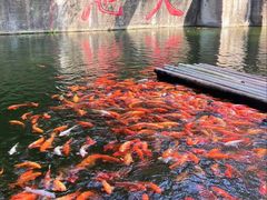 -千岛湖东南湖区