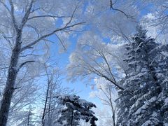-雪谷