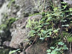-丹山赤水风景名胜区