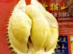 -都念榴莲·城市榴莲