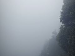 -云南屏边大围山国家公园