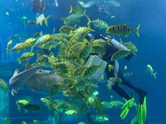 -太平洋海底世界