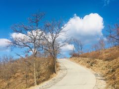 -鬼笑石后山停车场