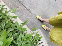 -燕莎友谊商城(亮马桥店)