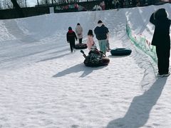 -1982农场