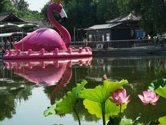 -莲花池公园