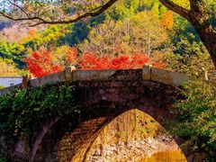 -溪口-滕头旅游景区