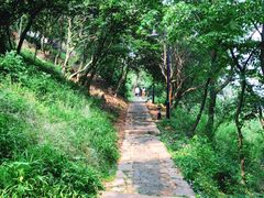 景点-雨花胜境