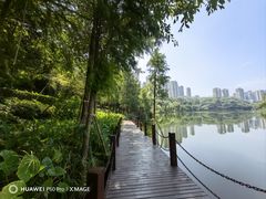 -重庆彩云湖湿地公园