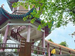 -天鹿湖森林公园