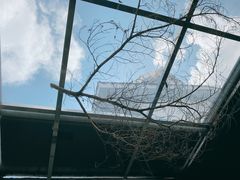 -素咫咖啡CLIFEROSE