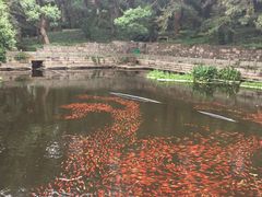 景点-普陀山风景名胜区-法雨禅寺