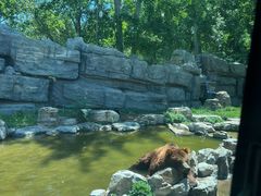 -北京野生动物园