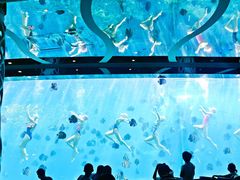 -瑞德姆美人鱼海底演艺主题餐厅(亚龙湾店)