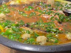 -探鱼·鲜青椒爽麻烤鱼(苏宁广场店)