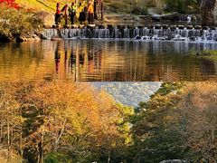 -广州市石门国家森林公园