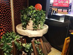 -牛焱·贵州黄牛肉火锅(城西银泰店)