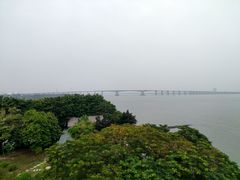 -大湾区中央湿地公园