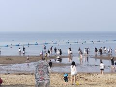 -南戴河国际娱乐中心