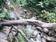 -鼎湖山风景区