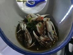 -散德行小酒馆