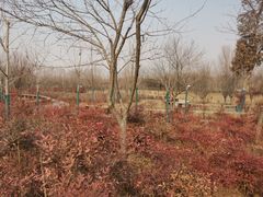 -淇河国家湿地公园