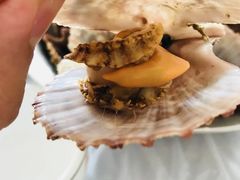 -宾朋海鲜特色美食餐厅·纯手工鲅鱼水饺(兴海路店)