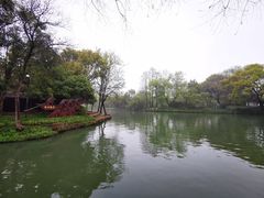 -西溪国家湿地公园