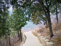 -北京西山国家森林公园