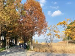 -良渚古城遗址公园