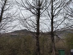 -东白山