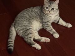 -真爱年华水疗健康运动中心(朱雀大街店)