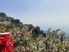 -泰山风景名胜区