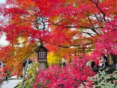 -常寂光寺