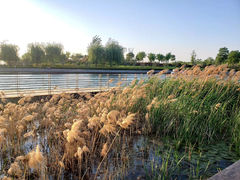 -郑东新区龙湖公共艺术中心