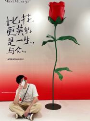 点击看大图 -帆拉斐婚纱摄影(春熙店)