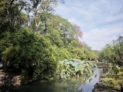 -八大山人梅湖景区